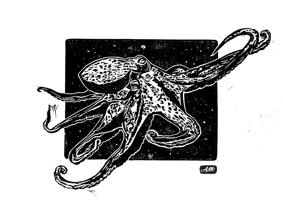 giant pacific octopus giant pacific octopus
